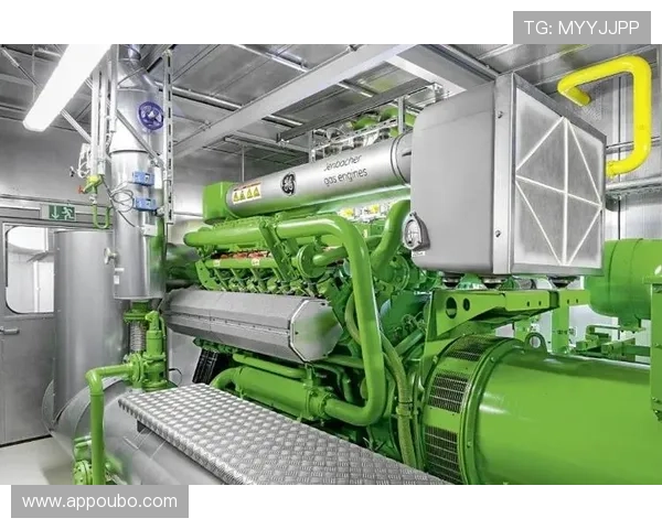 欧 博未来的发展规划与创新方向，展望其在行业中的持续引领与变革潜力