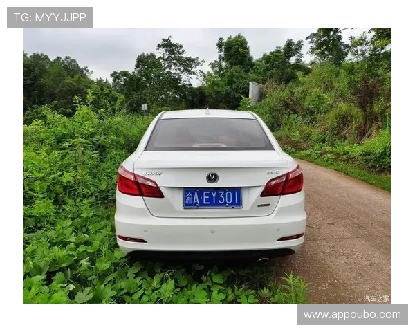 欧博二代D豪华版售后服务完善，提供全方位保障，享受无忧用车体验