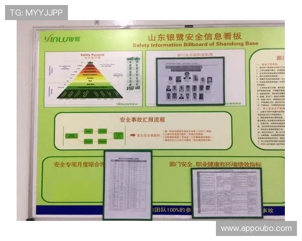欧博官方app安全可靠登录流程详解,保障您的账户信息安全 欧博官方app安全可靠登录流程详解,保障您的账户信息安全