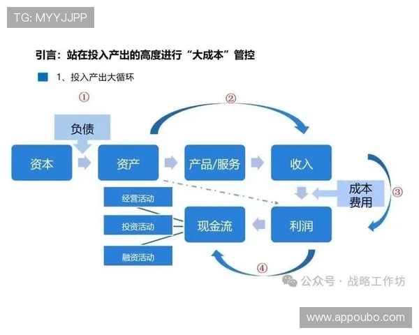 欧博有限公司的供应链管理优化与成本控制策略分析