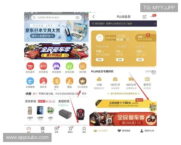 欧博会员登录网站入口便捷登录方法及账号安全保护技巧分享